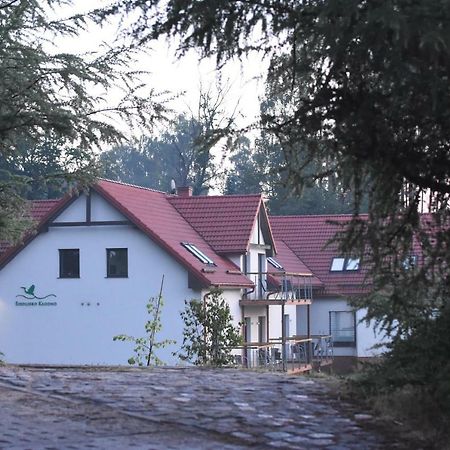 Apartament Siedlisko Kłodno Sulęczyno Zewnętrze zdjęcie